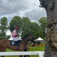 Windsor Horse Racing in Bank Holiday
