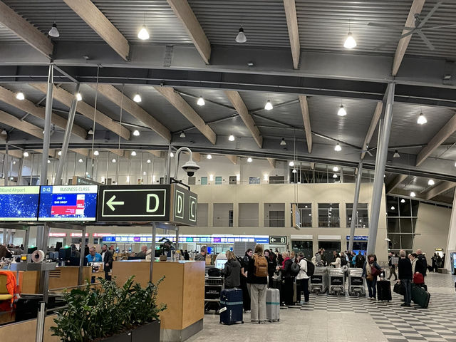 🚗 Ride-Sharing in Billund: Budget-Friendly Travel Beyond LEGOLAND 🧱🇩🇰