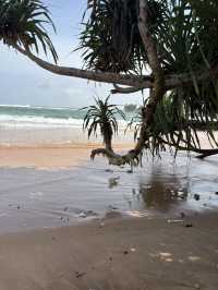 Turtle beach, Hikkaduwa Sri Lanka