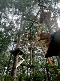 Climbing Forest For Adventure Seeker