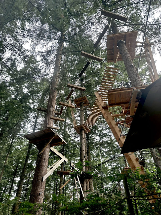 Climbing Forest For Adventure Seeker