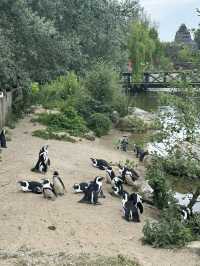 Best Europe Zoo in Belgium
