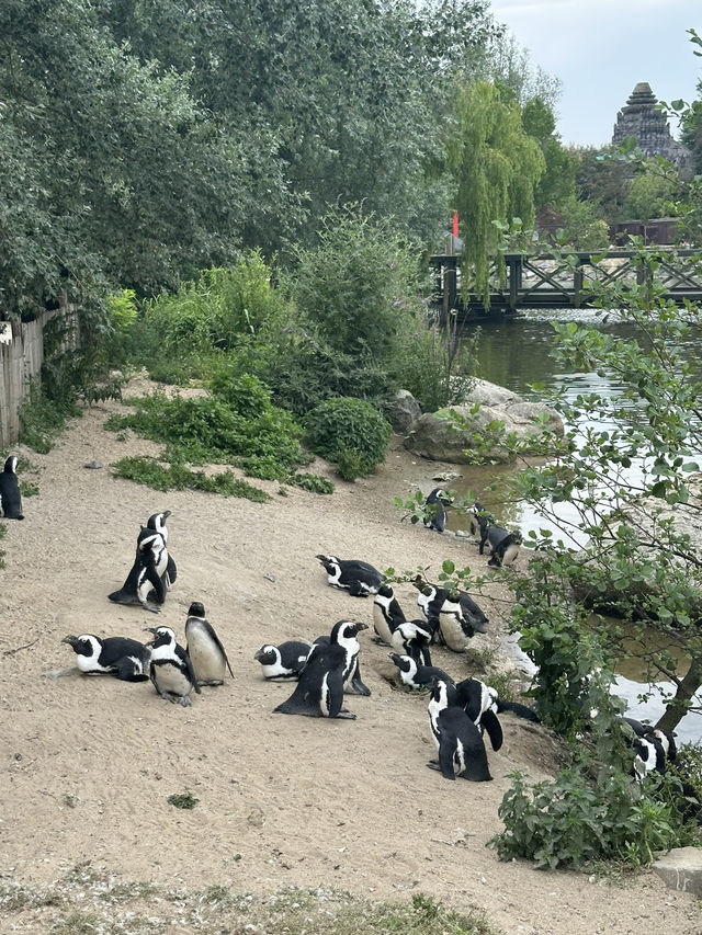 Best Europe Zoo in Belgium