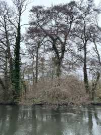 Southampton Serenity: Yoga + Run in Nature