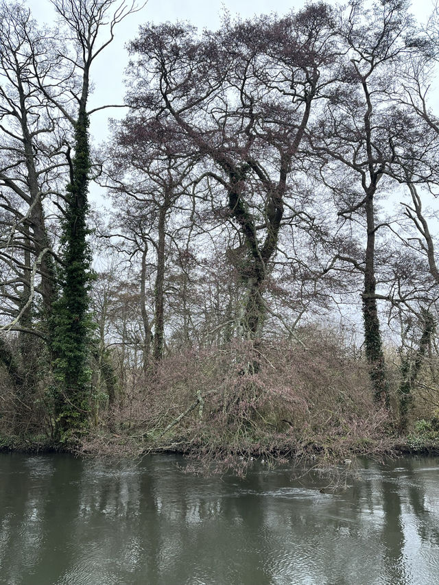 Southampton Serenity: Yoga + Run in Nature