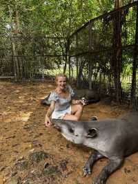 Signature Phu Quoc Safari ! Must see!