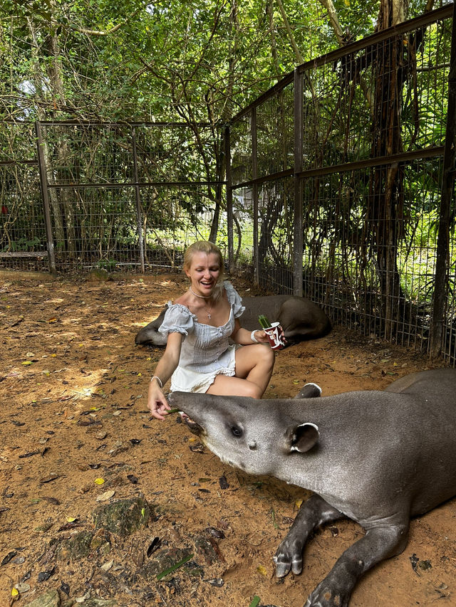 Signature Phu Quoc Safari ! Must see!