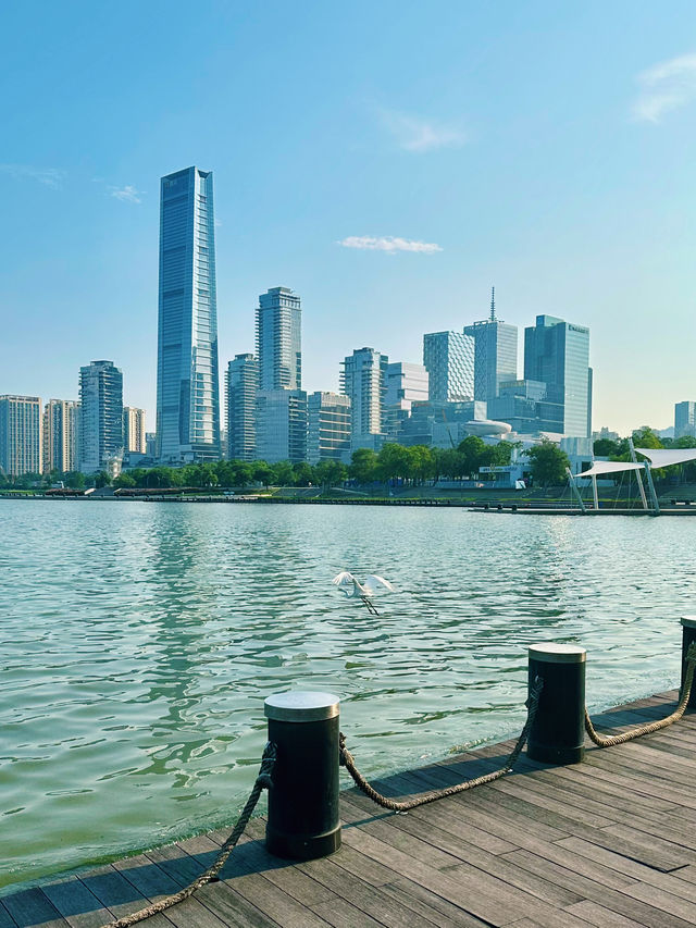 City of the Future: Shenzhen solo travel 