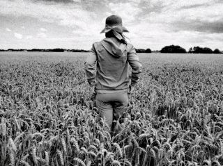 Charming town Whitstable, Kent