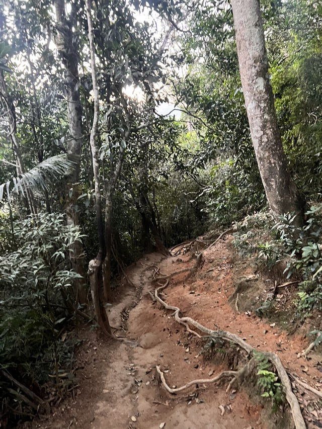 Two Brothers Mountain Lookout trail 🌆 🇧🇷 