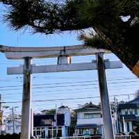 Tokyo to Nagoya: City Sights, History & Local Flavors
