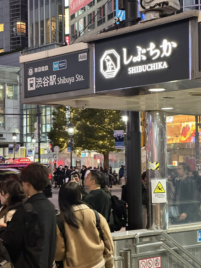 Dreaming of Japan? I show you the iconic Tokyo landscape 