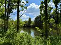 Weekend Escape by the River