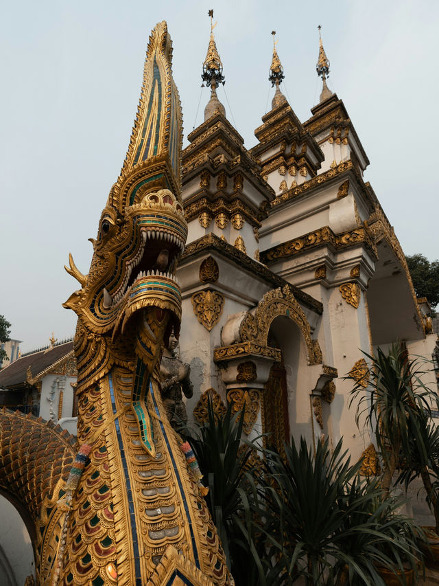황금의 숨결이 머무는 새벽의 사원 🇹🇭