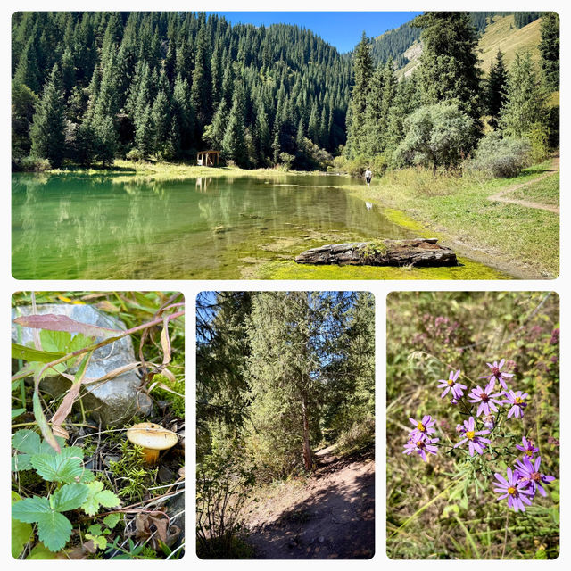 Озеро Каиды (Казахстан) Озеро Каиды (Казахстан)