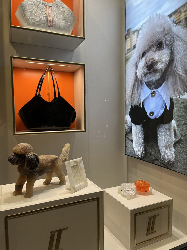 Шопинг во Флоренции: версия для собачников Шопинг во Флоренции: версия для собачников