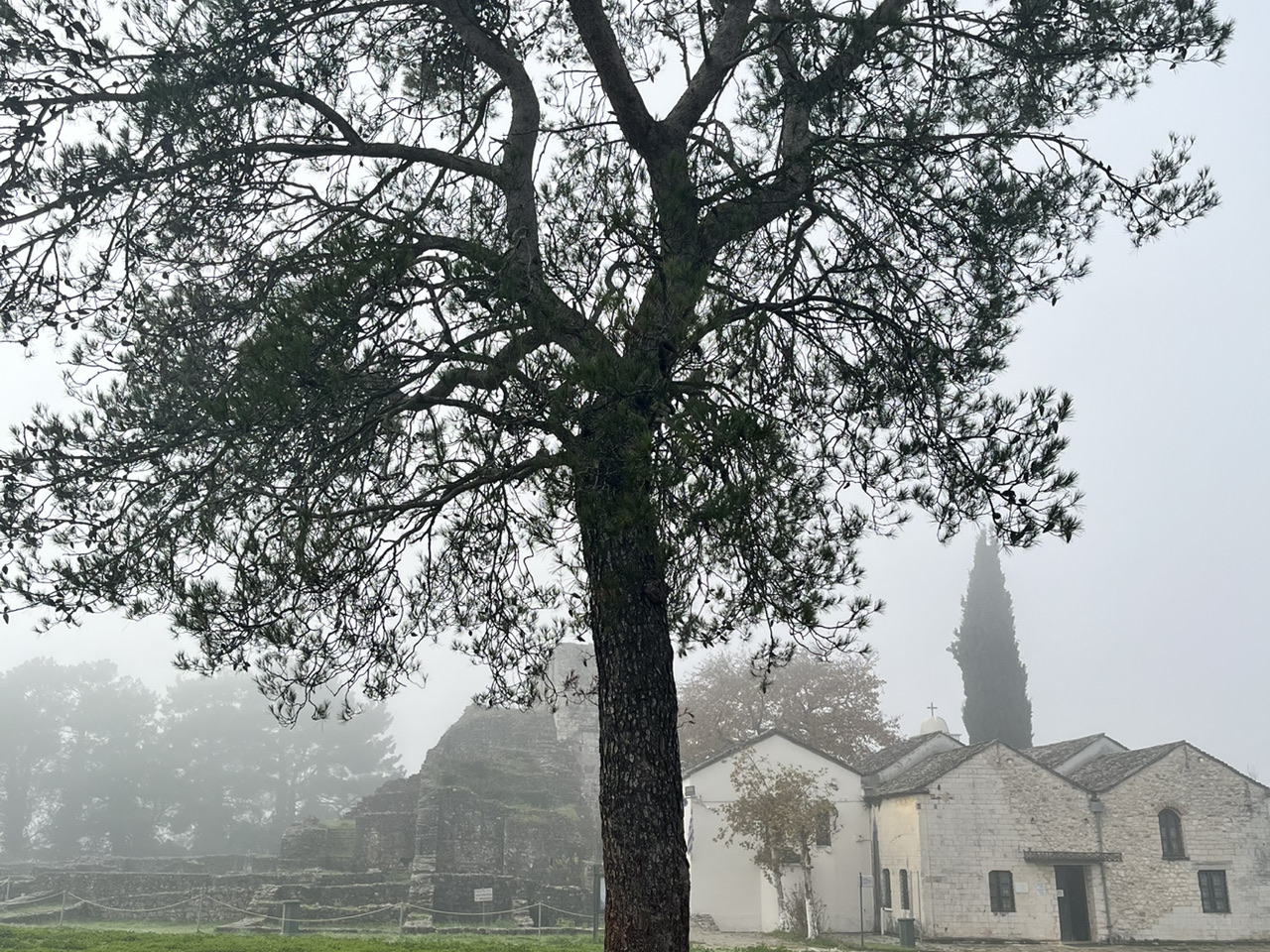Misty Meadow Magic in Ioannina, Greece🌫️