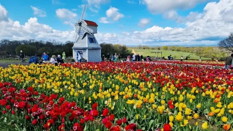 Crawley, England 🏴󠁧󠁢󠁥󠁮󠁧󠁿 — traveler post in Crawley