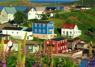 Trinity — The Canadian Town Where the Atlantic Meets the Cliffs and Time Stands Still in Newfoundlan