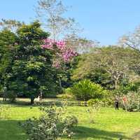 Tropical Botanical Gardens - paradise ！