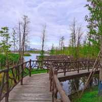 Unwind and Relax in Xing Long Lake Chengdu🇨🇳