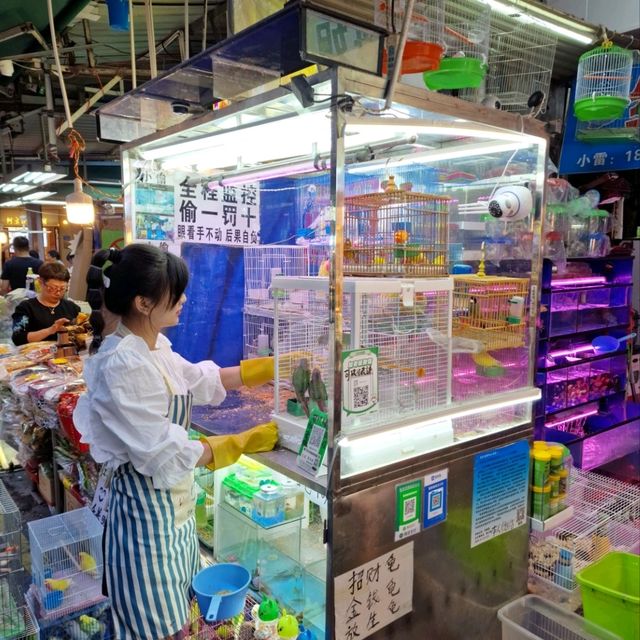 Gone fishing...Xiamen Eighth Seafood Market