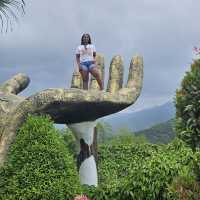 Sirao Garden in Cebu 