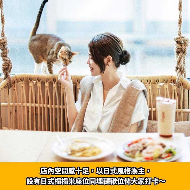 旺角人氣貓cafe🐱貓啡cafe