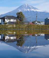 Beautiful scenery on the way to Shizuoka business trip.