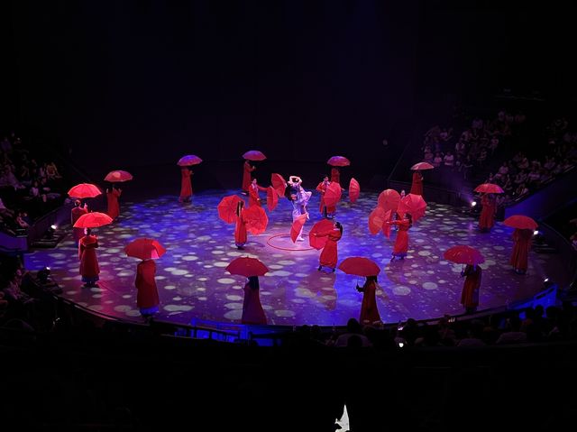 새롭게 단장한 상하이 마시청 서커스