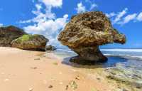 Barbados, the "Land of Coral"