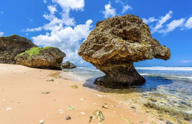 Barbados, the "Land of Coral"