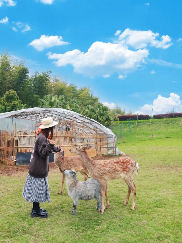 總得來一趟璧山吧！公園美食隨你挑！
