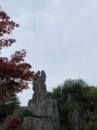 廣安·華蓥山旅遊區｜登頂華蓥山看雲海翻騰