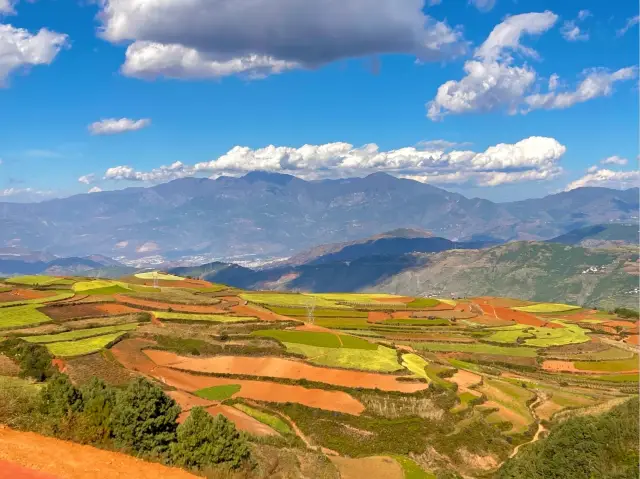 Dongchuan Red Land in Kunming| The palette knocked over by God