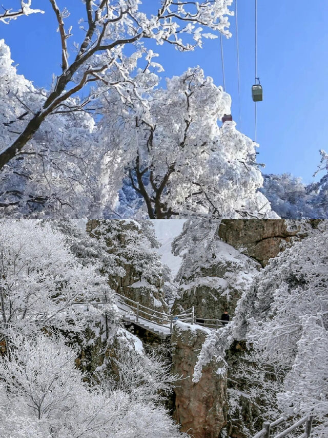 洛陽雪後的老君山美絕了