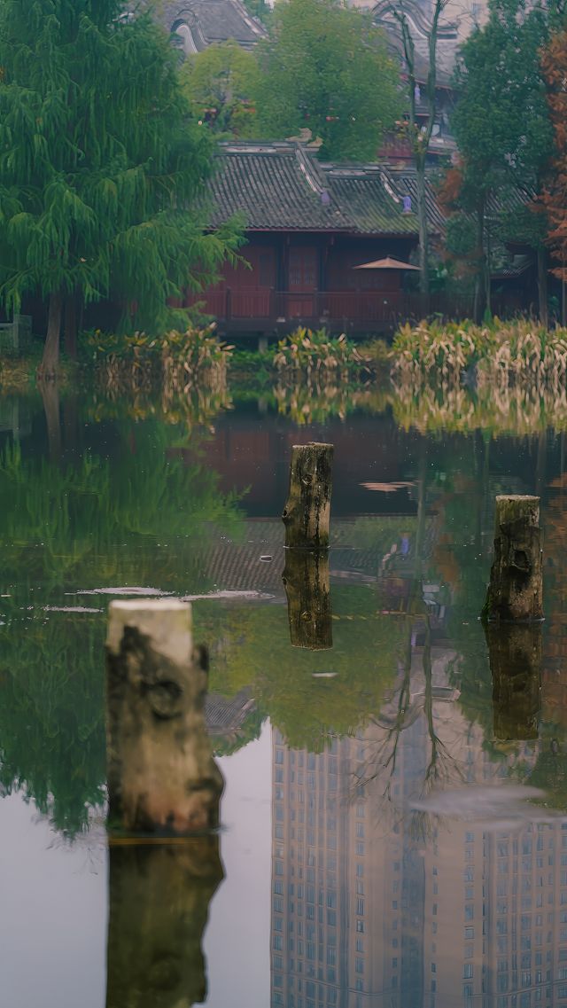 璧山這個公園美如畫