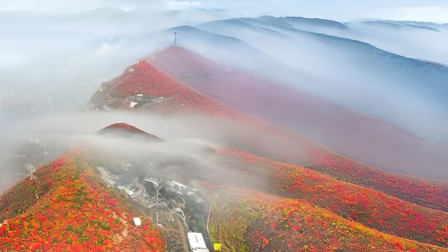 鄭州周邊遊免費賞紅葉看日落的好地方