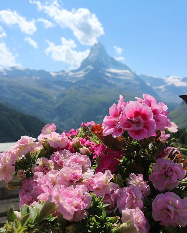 Switzerland's Splendid Secrets: A 10-Stop Journey through Alpine Beauty 🇨🇭✨