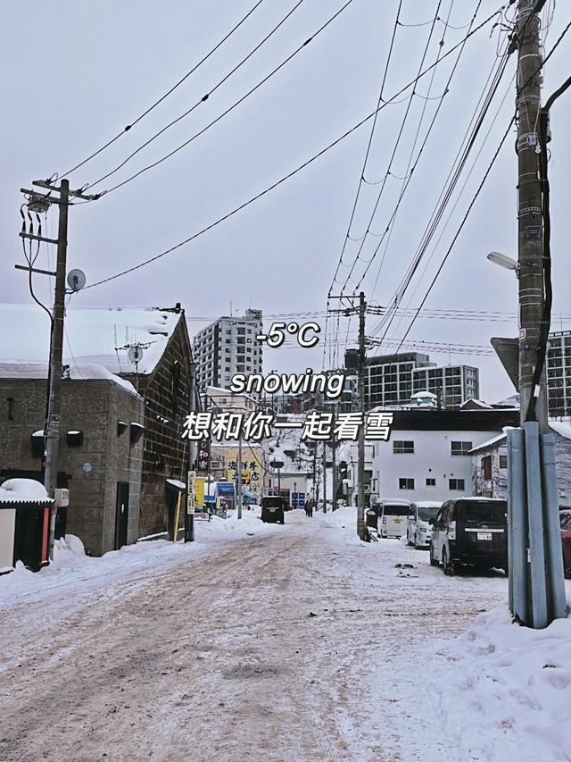 日本北海道札幌-小樽之遊