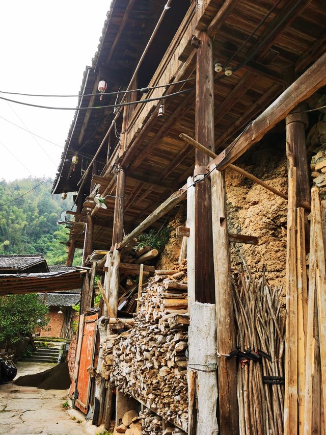 10月12日早上吃完了本地特色早餐就出發了，一路上漸漸有了秋天的顏色，還有一些晚稻金黃黃的，道路的兩