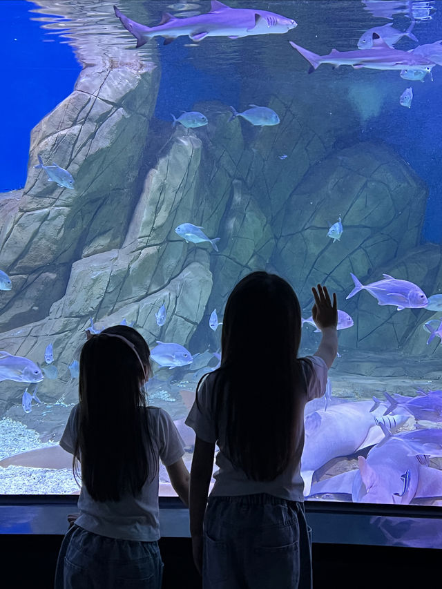 上海遛娃｜新開的水族館水母秀太絕了吧！！
