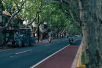 Citywalk第二彈|樹蔭下的新華路