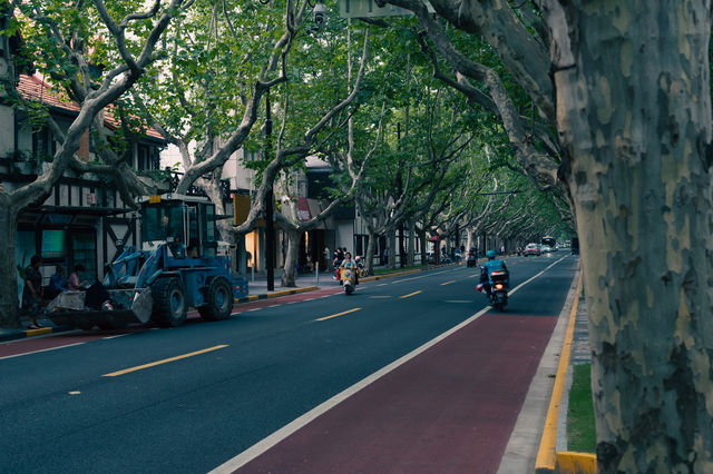 Citywalk第二彈|樹蔭下的新華路 Citywalk第二彈|樹蔭下的新華路