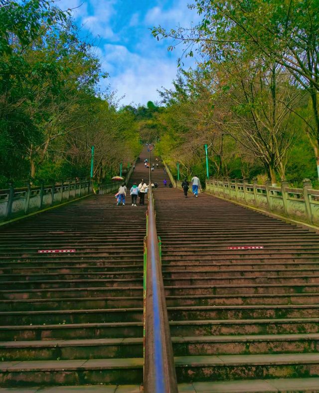 雨城雅安|爬天梯、遊古寺，一起森呼吸