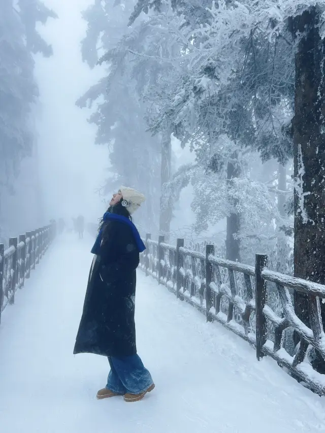 The surrounding area of Chengdu is filled with winter atmosphere and snow scenes! It's snowing heavily here~