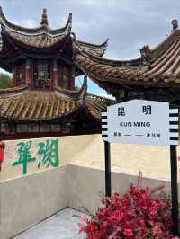 昆明餵海鷗｜不是滇池去不起，而是翠湖公園更有性價比！