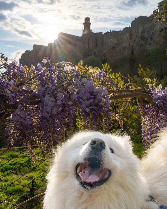 🌺🥰 A little reminder not to forget to smell the flowers along the way! 🌸✨