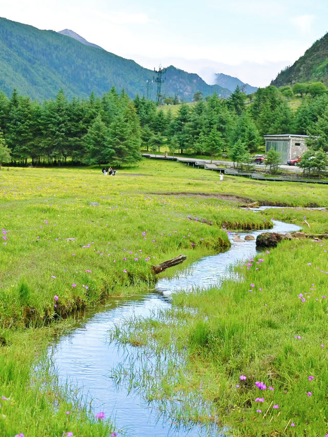 春天還在，已經開始期待四姑娘山的夏天了