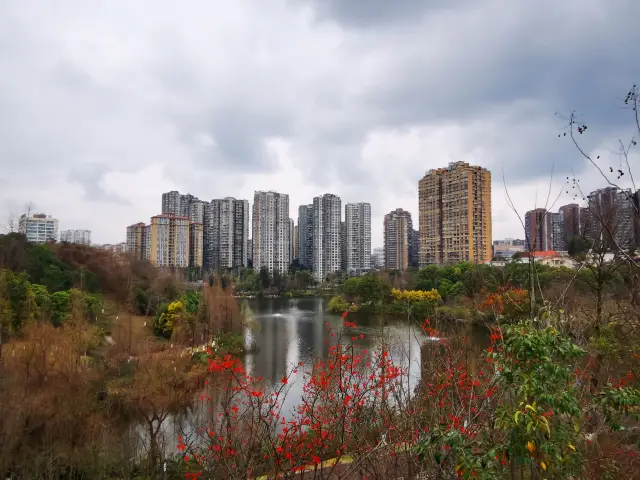 雨後漫步自貢南湖公園